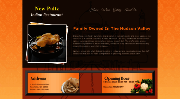 newpaltzindianrestaurant.com