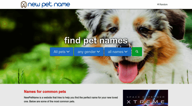 newpetname.com