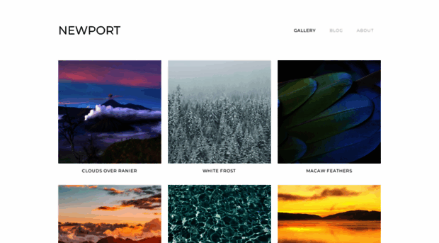 newport-template.webflow.io