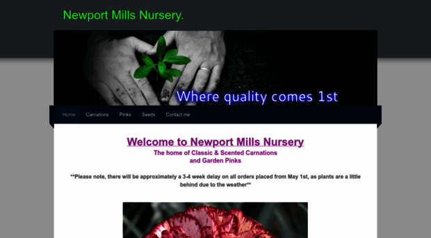 newportmillsnursery.net