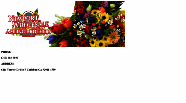 newportwholesalefloral.com