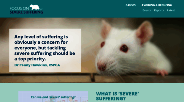 news.rspca.org.uk