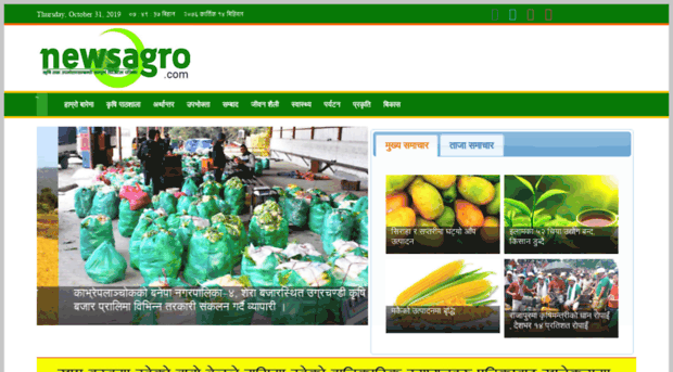 newsagro.com