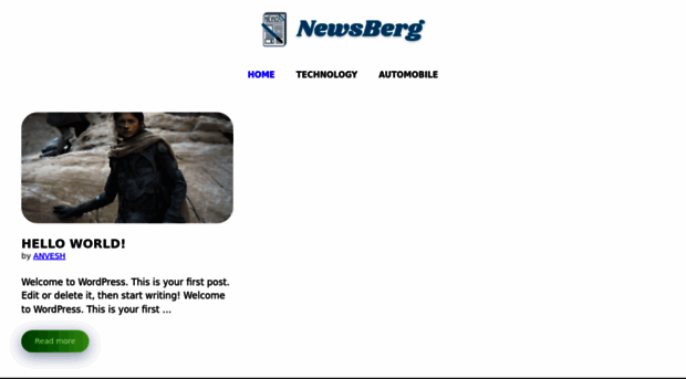 newsberg.net