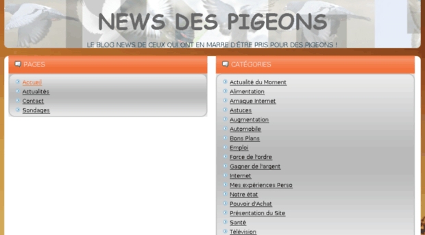 newsdespigeons.fr