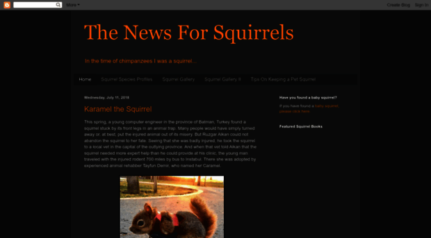 newsforsquirrels.blogspot.com