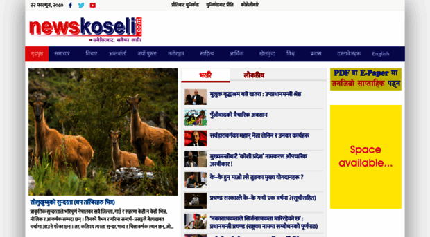 newskoseli.com