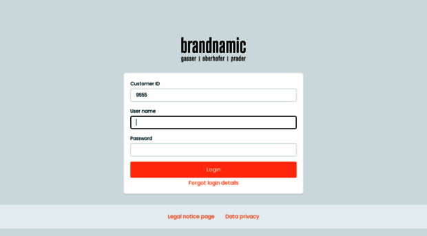 newsletter.brandnamic.com