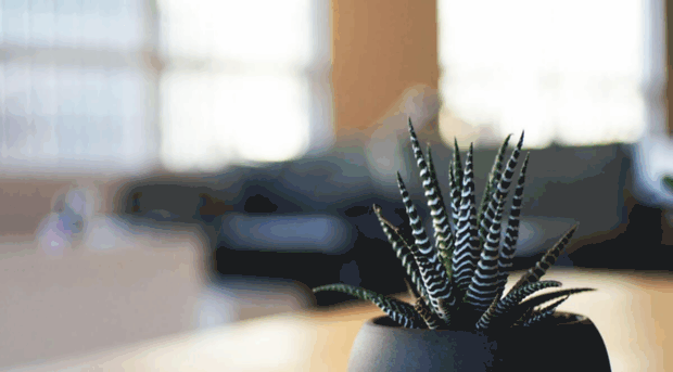 newsletter.theperfectwave.com.au