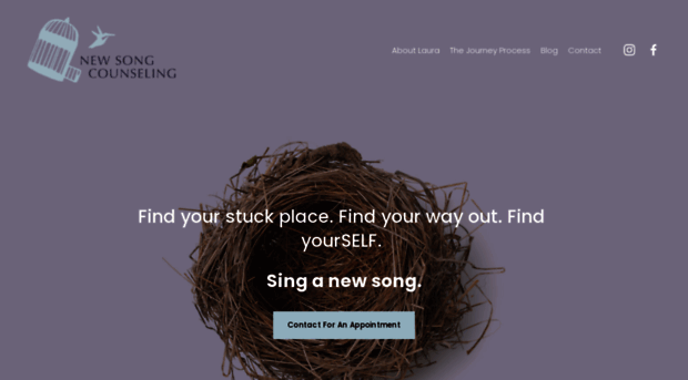 newsongcounseling.com