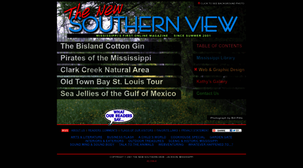 newsouthernview.com