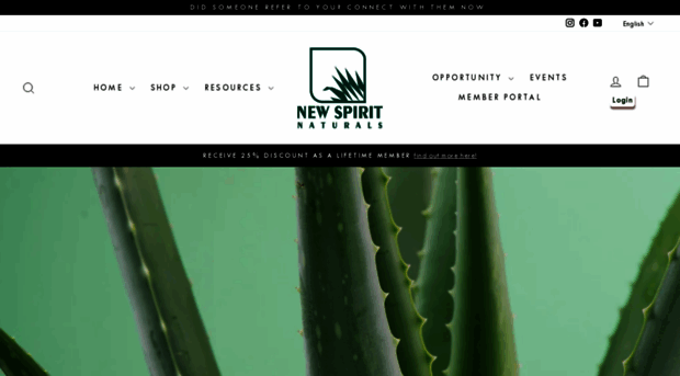 newspirit.com