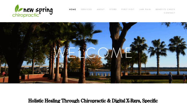 newspringchiropractic.com