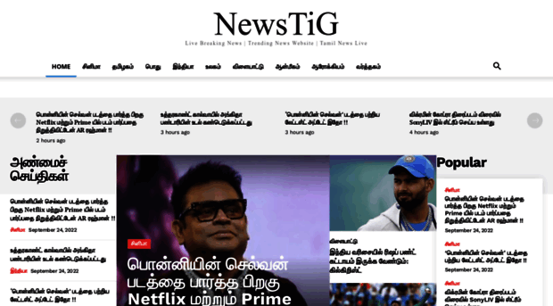 newstig.net