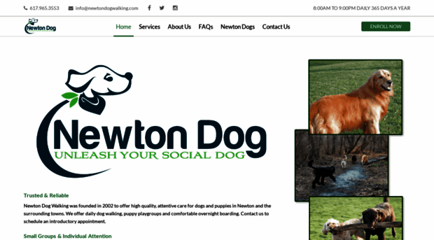 newtondogwalking.com