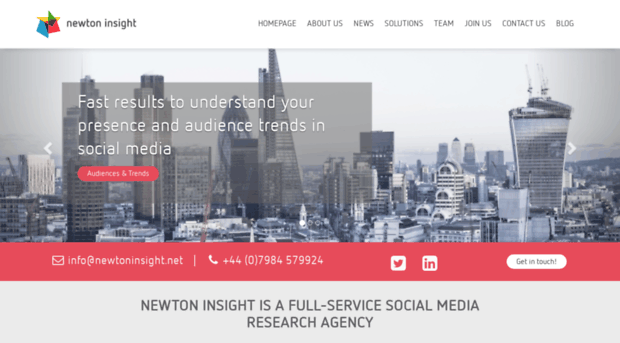 newtoninsight.net