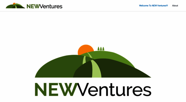 newventuresllc.com