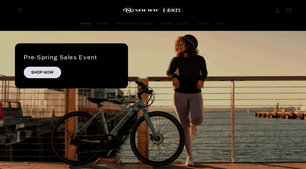 newwayebikes.com