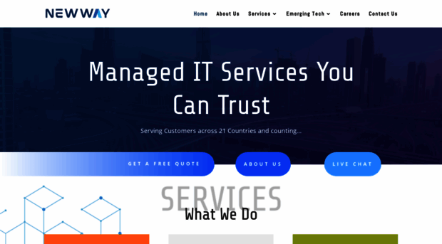 newwaysoft.com