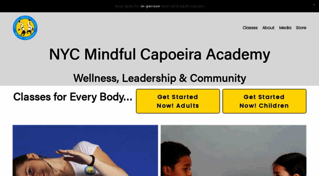 newyorkcapoeira.com