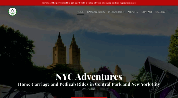 newyorkcityadventure.com
