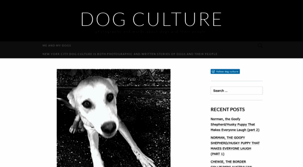 newyorkcitydogculture.wordpress.com