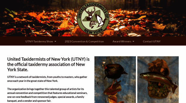 newyorktaxidermyassociation.com