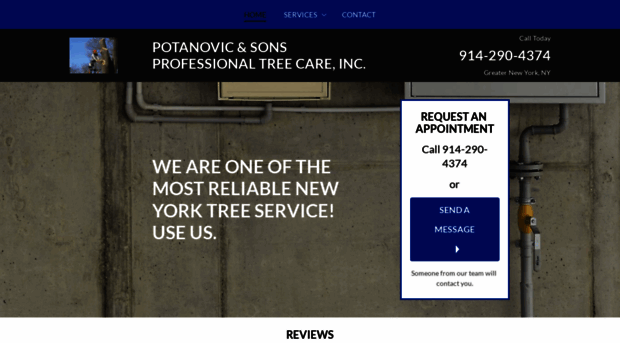 newyorktreeservicecompany.com