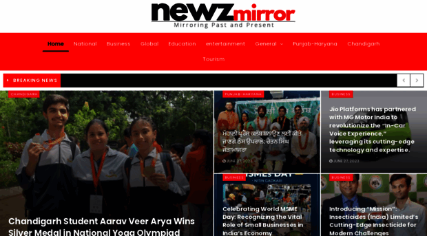 newzmirror.com