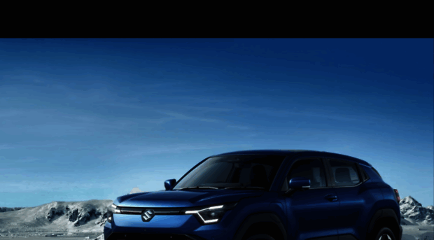 nexaoflowerparel.com