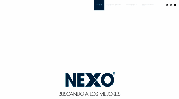 nexoconsult.com