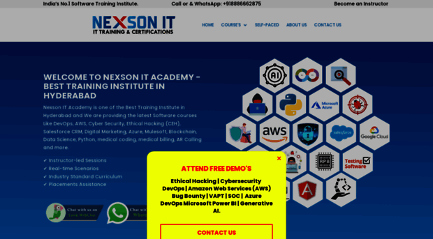 nexsonit.com
