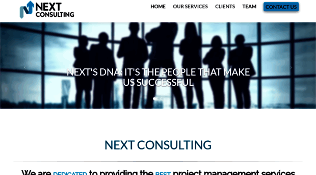 nextconsulting-llc.com