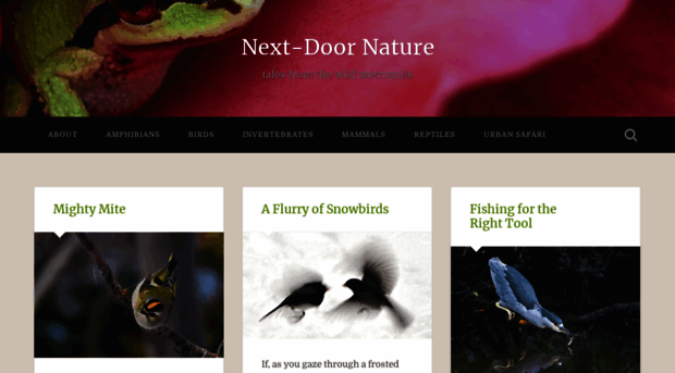 nextdoornature.org