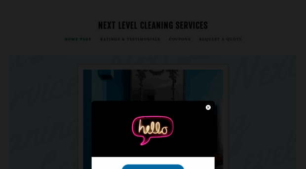 nextlevelcleaningservices.com