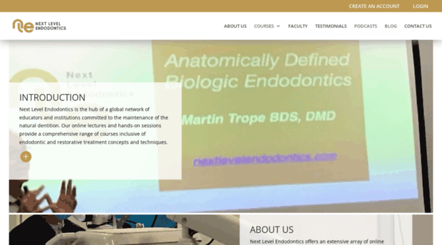 nextlevelendodontics.com