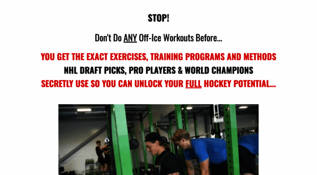 nextlevelhockeytraining.com