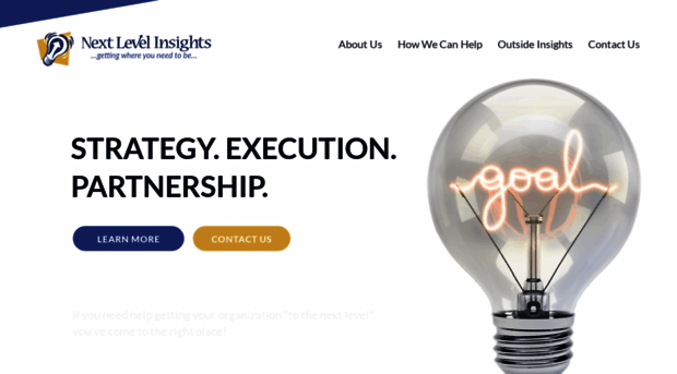 nextlevelinsights.com