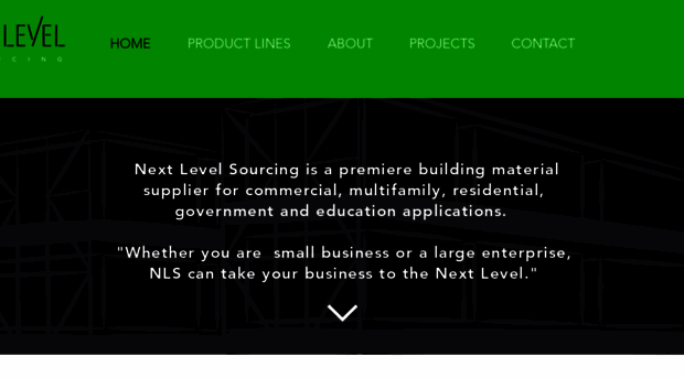 nextlevelsourcing.com