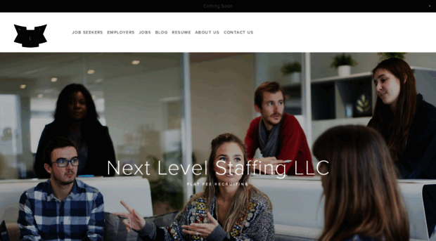 nextlevelstaffingllc.com