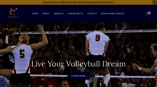 nextlvlconsulting.com