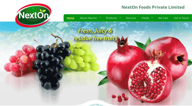 nextonfoods.com