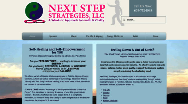 nextstepstrategiesllc.com