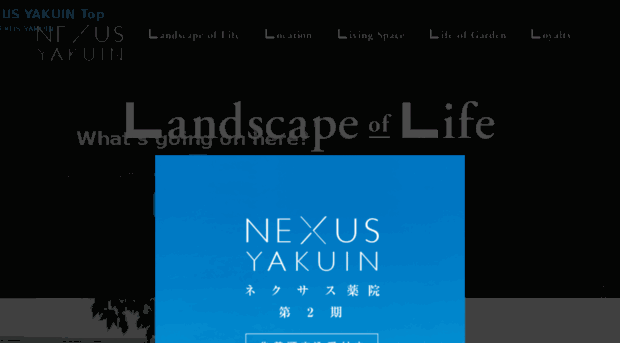 nexus-yakuin.com