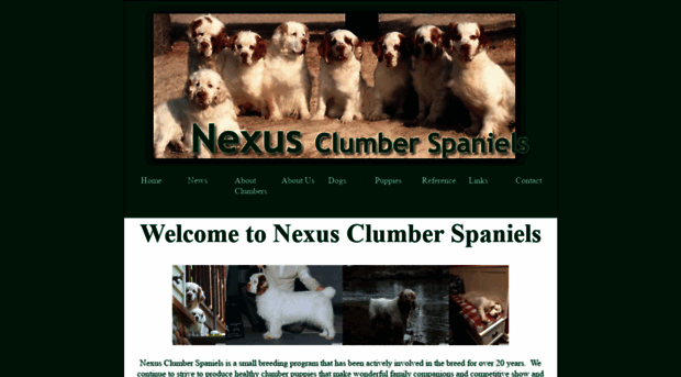 nexusclumbers.com