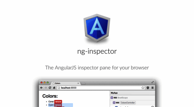 ng-inspector.org