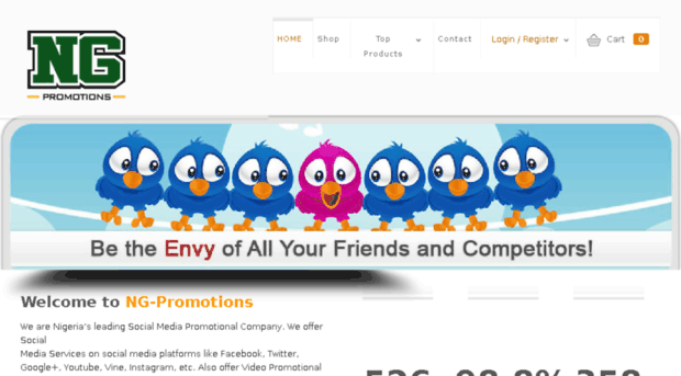 ng-promotions.com