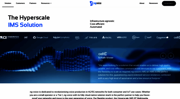 ng-voice.com