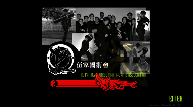 ngfamilymartialarts.com