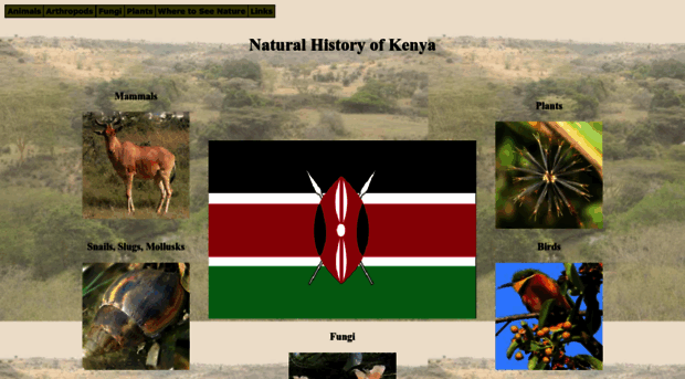 ngkenya.com